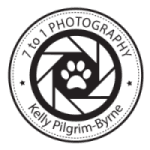 7 to 1 Photography